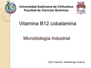 Universidad Autónoma de Chihuahua
   Facultad de Ciencias Químicas



Vitamina B12 cobalamina

  Microbiología Industrial




                 Q.B.P Daniel E. Montelongo Chávez.
 