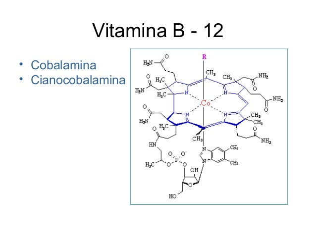 Peso Molecular De La Vitamina B12 vitaminas254.blogspot.com