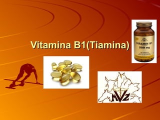 Vitamina B1(Tiamina)Vitamina B1(Tiamina)
 