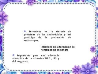 Interviene en la síntesis de
proteínas de los aminoácidos y así
participa de la producción de
anticuerpos.
Importante para una adecuada
absorción de la vitamina B12 , B3 y
del magnesio.
Interviene en la formación de
hemoglobina en sangre
 