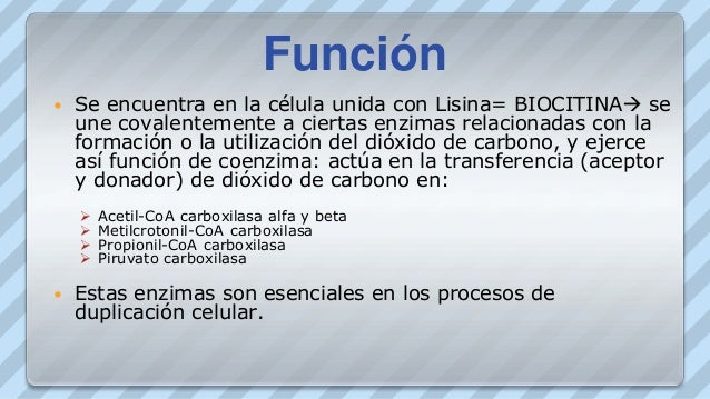 Vitamina B7 O B8 Pp Tminimizer