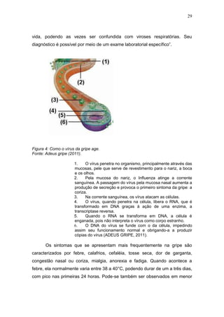 29



vida, podendo as vezes ser confundida com viroses respiratórias. Seu
diagnóstico é possível por meio de um exame laboratorial específico”.




Figura 4: Como o vírus da gripe age.
Fonte: Adeus gripe (2011).

                      1.    O vírus penetra no organismo, principalmente através das
                      mucosas, pele que serve de revestimento para o nariz, a boca
                      e os olhos.
                      2.    Pela mucosa do nariz, o Influenza atinge a corrente
                      sanguínea. A passagem do vírus pela mucosa nasal aumenta a
                      produção de secreção e provoca o primeiro sintoma da gripe: a
                      coriza.
                      3.    Na corrente sanguínea, os vírus atacam as células.
                      4.    O vírus, quando penetra na célula, libera o RNA, que é
                      transformado em DNA graças à ação de uma enzima, a
                      transcriptase reversa.
                      5.    Quando o RNA se transforma em DNA, a célula é
                      enganada, pois não interpreta o vírus como corpo estranho.
                      6.    O DNA do vírus se funde com o da célula, impedindo
                      assim seu funcionamento normal e obrigando-a a produzir
                      cópias do vírus (ADEUS GRIPE, 2011).

       Os sintomas que se apresentam mais frequentemente na gripe são
caracterizados por febre, calafrios, cefaléia, tosse seca, dor de garganta,
congestão nasal ou coriza, mialgia, anorexia e fadiga. Quando acontece a
febre, ela normalmente varia entre 38 a 40°C, podendo durar de um a três dias,
com pico nas primeiras 24 horas. Pode-se também ser observados em menor
 