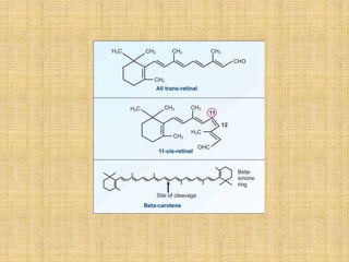 Vitamin A and D | PPTX