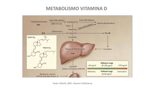 METABOLISMO VITAMINA D
Fonte: HOLICK, 2007. Vitamin D Deficiency
 