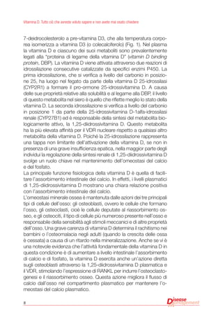 8
Vitamina D. Tutto ciò che avreste voluto sapere e non avete mai osato chiedere
7-deidrocolesterolo a pre-vitamina D3, che alla temperatura corpo-
rea isomerizza a vitamina D3 (o colecalciferolo) (Fig. 1). Nel plasma
la vitamina D e ciascuno dei suoi metaboliti sono prevalentemente
legati alla “proteina di legame della vitamina D” (vitamin D binding
protein, DBP). La vitamina D viene attivata attraverso due reazioni di
idrossilazione consecutive catalizzate da specifici enzimi P450. La
prima idrossilazione, che si verifica a livello del carbonio in posizio-
ne 25, ha luogo nel fegato da parte della vitamina D 25-idrossilasi
(CYP2R1) a formare il pro-ormone 25-idrossivitamina D. A causa
delle sue proprietà relative alla solubilità e al legame alla DBP, il livello
di questo metabolita nel siero è quello che riflette meglio lo stato della
vitamina D. La seconda idrossilazione si verifica a livello del carbonio
in posizione 1 da parte della 25-idrossivitamina D-1alfa-idrossilasi
renale (CYP27B1) ed è responsabile della sintesi del metabolita bio-
logicamente attivo, la 1,25-diidrossivitamina D. Questo metabolita
ha la più elevata affinità per il VDR nucleare rispetto a qualsiasi altro
metabolita della vitamina D. Poiché la 25-idrossilazione rappresenta
una tappa non limitante dell’attivazione della vitamina D, se non in
presenza di una grave insufficienza epatica, nella maggior parte degli
individui la regolazione della sintesi renale di 1,25-diidrossivitamina D
svolge un ruolo chiave nel mantenimento dell’omeostasi del calcio
e del fosfato.
La principale funzione fisiologica della vitamina D è quella di facili-
tare l’assorbimento intestinale del calcio. In effetti, i livelli plasmatici
di 1,25-diidrossivitamina D mostrano una chiara relazione positiva
con l’assorbimento intestinale del calcio.
L’omeostasi minerale ossea è mantenuta dalle azioni dei tre principali
tipi di cellule dell’osso: gli osteoblasti, ovvero le cellule che formano
l’osso, gli osteoclasti, cioè le cellule deputate al riassorbimento os-
seo, e gli osteociti, il tipo di cellule più numeroso presente nell’osso e
responsabile della sensibilità agli stimoli meccanici e di altre proprietà
dell’osso. Una grave carenza di vitamina D determina il rachitismo nei
bambini o l’osteomalacia negli adulti (quando la crescita delle ossa
è cessata) a causa di un ritardo nella mineralizzazione. Anche se vi è
una notevole evidenza che l’attività fondamentale della vitamina D in
questa condizione è di aumentare a livello intestinale l’assorbimento
di calcio e di fosfato, la vitamina D esercita anche un’azione diretta
sugli osteoblasti attraverso la 1,25-diidrossivitamina D plasmatica e
il VDR, stimolando l’espressione di RANKL per indurre l’osteoclasto-
genesi e il riassorbimento osseo. Questa azione migliora il flusso di
calcio dall’osso nel compartimento plasmatico per mantenere l’o-
meostasi del calcio plasmatico.
 