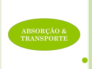 ABSORÇÃO &
TRANSPORTE
 