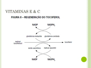 VITAMINAS E & C
 