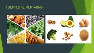 FUENTES ALIMENTARIAS
 
