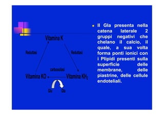 Complesso K Vitamina k | PDF