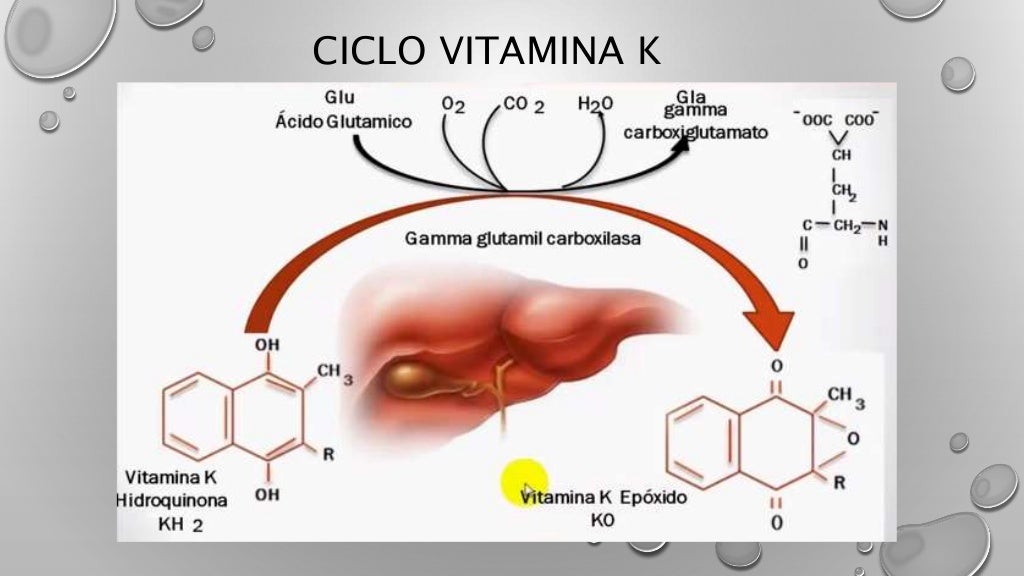 Vitamina k