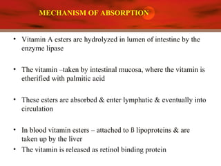 MECHANISM OF ABSORPTION
• Vitamin A esters are hydrolyzed in lumen of intestine by the
enzyme lipase
• The vitamin –taken by intestinal mucosa, where the vitamin is
etherified with palmitic acid
• These esters are absorbed & enter lymphatic & eventually into
circulation
• In blood vitamin esters – attached to ß lipoproteins & are
taken up by the liver
• The vitamin is released as retinol binding protein
 