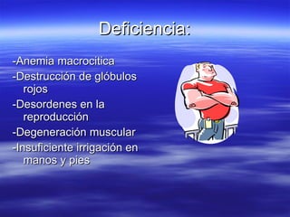 Deficiencia: -Anemia macrocitica -Destrucción de glóbulos rojos -Desordenes en la reproducción -Degeneración muscular -Insuficiente irrigación en manos y pies 