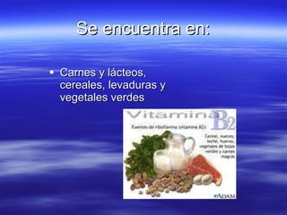 Se encuentra en: Carnes y lácteos, cereales, levaduras y vegetales verdes 