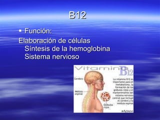 B12  Función: Elaboración de células  Síntesis de la hemoglobina  Sistema nervioso 
