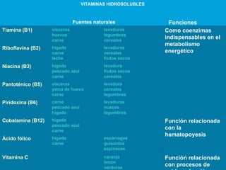 Funciones Fuentes naturales   VITAMINAS HIDROSOLUBLES   Función relacionada con procesos de oxido-reducción celular  naranja  limón verduras Vitamina C espárragos guisantes espinacas hígado  carne  Ácido fólico Función relacionada con la hematopoyesis hígado  pescado azul carne  Cobalamina (B12) levaduras nueces legumbres  carne  pescado azul hígado  Piridoxina (B6)  levadura cereales legumbres vísceras yema de huevo carne Pantoténico (B5) levadura frutos secos cereales  hígado pescado azul carne  Niacina (B3)  levaduras  cereales frutos secos  hígado carne leche Riboflavina (B2) Como coenzimas indispensables en el metabolismo energético levaduras legumbres cereales vísceras huevos carne Tiamina (B1) 