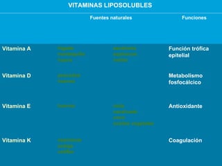 VITAMINAS LIPOSOLUBLES   Coagulación espinacas acelga coliflor  Vitamina K Antioxidante maíz cacahuate coco aceites vegetales  huevos Vitamina E Metabolismo fosfocálcico pescados huevos  Vitamina D Función trófica epitelial zanahoria espinacas melón  hígado mantequilla huevo  Vitamina A Funciones Fuentes naturales 