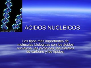 ACIDOS NUCLEICOS Los tipos más importantes de moléculas biológicas son los ácidos nucleicos, las proteínas, los hidratos de carbono y los lípidos. 