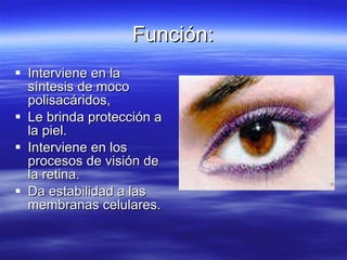 Función: Interviene en la síntesis de moco polisacáridos, Le brinda protección a la piel. Interviene en los procesos de visión de la retina. Da estabilidad a las membranas celulares. 