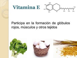 Vitamina E	Participa en la formación de glóbulos rojos, músculos y otros tejidos9