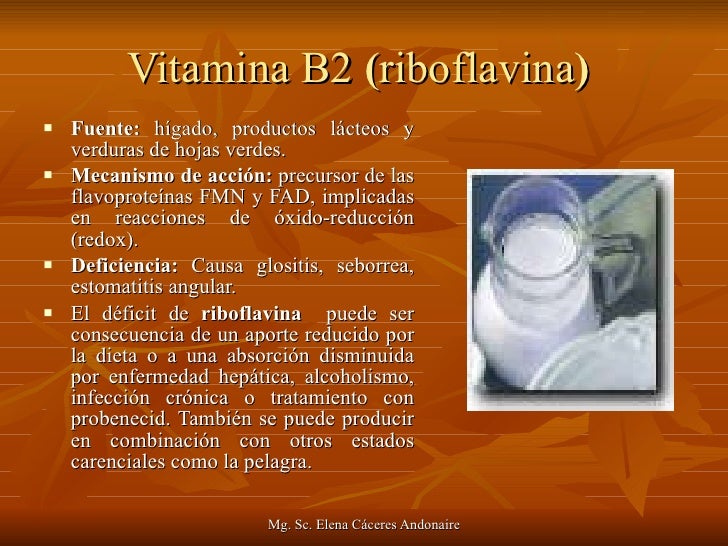 El primer grado del alcoholismo