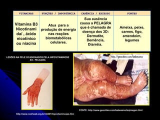 LESÕES NA PELE OCASIONADOS PELA HIPOVITAMINOSE B3 - PELAGRA FONTE:  http://www.nutriweb.org.br/n0201/hipovitaminoses.htm FONTE: http://www.geocities.com/bebesano/izqimagen.html VITAMINAS FUNÇÕES / IMPORTÂNCIA CARÊNCIA / EXCESSO FONTES Vitamina B3 Nicotinamida/ , ácido nicotínico ou niacina Atua  para a produção de energia nas reações biometabólicas celulares. Sua ausência causa a PELAGRA que é chamada de doença dos 3D: Dermatite, Demência, Diarréia.    Ameixa, peixe, carnes, figo, amendoim, legumes 