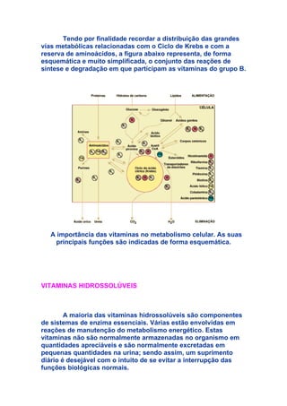 Tendo por finalidade recordar a distribuição das grandes
vias metabólicas relacionadas com o Ciclo de Krebs e com a
reserva de aminoácidos, a figura abaixo representa, de forma
esquemática e muito simplificada, o conjunto das reações de
síntese e degradação em que participam as vitaminas do grupo B.




  A importância das vitaminas no metabolismo celular. As suas
    principais funções são indicadas de forma esquemática.




VITAMINAS HIDROSSOLÚVEIS



        A maioria das vitaminas hidrossolúveis são componentes
de sistemas de enzima essenciais. Várias estão envolvidas em
reações de manutenção do metabolismo energético. Estas
vitaminas não são normalmente armazenadas no organismo em
quantidades apreciáveis e são normalmente excretadas em
pequenas quantidades na urina; sendo assim, um suprimento
diário é desejável com o intuito de se evitar a interrupção das
funções biológicas normais.
 