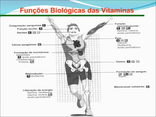 Funções Biológicas das Vitaminas 
