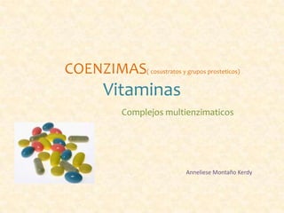 COENZIMAS  ( cosustratos y grupos prosteticos)


    Vitaminas
      Complejos multienzimaticos




                         Anneliese Montaño Kerdy
 