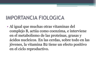 IMPORTANCIA FIOLOGICA
• Al igual que muchas otras vitaminas del
  complejo B, actúa como coenzima, e interviene
  en el metabolismo de las proteínas, grasas y
  ácidos nucleicos. En las cerdas, sobre todo en las
  jóvenes, la vitamina B2 tiene un efecto positivo
  en el ciclo reproductivo.
 