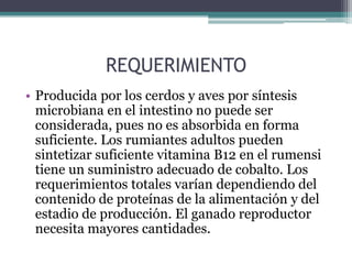 REQUERIMIENTO
• Producida por los cerdos y aves por síntesis
  microbiana en el intestino no puede ser
  considerada, pues no es absorbida en forma
  suficiente. Los rumiantes adultos pueden
  sintetizar suficiente vitamina B12 en el rumensi
  tiene un suministro adecuado de cobalto. Los
  requerimientos totales varían dependiendo del
  contenido de proteínas de la alimentación y del
  estadio de producción. El ganado reproductor
  necesita mayores cantidades.
 