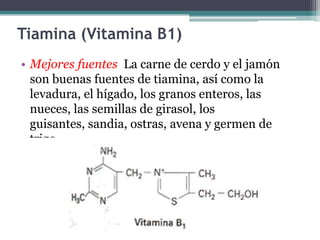Tiamina (Vitamina B1)
• Mejores fuentes La carne de cerdo y el jamón
  son buenas fuentes de tiamina, así como la
  levadura, el hígado, los granos enteros, las
  nueces, las semillas de girasol, los
  guisantes, sandia, ostras, avena y germen de
  trigo.
 