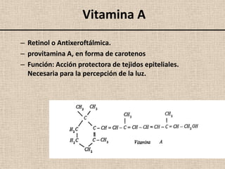 Vitamina A
– Retinol o Antixeroftálmica.
– provitamina A, en forma de carotenos
– Función: Acción protectora de tejidos epiteliales.
  Necesaria para la percepción de la luz.
 