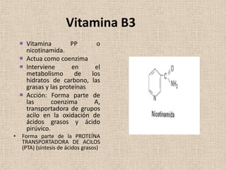 Vitamina B3
     Vitamina         PP      o
      nicotinamida.
     Actua como coenzima
     Interviene       en     el
      metabolismo       de   los
      hidratos de carbono, las
      grasas y las proteínas
     Acción: Forma parte de
      las       coenzima      A,
      transportadora de grupos
      acilo en la oxidación de
      ácidos grasos y ácido
      pirúvico.
•   Forma parte de la PROTEÍNA
    TRANSPORTADORA DE ACILOS
    (PTA) (síntesis de ácidos grasos)
 