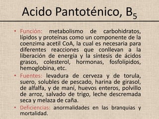 Acido Pantoténico, B5
• Función: metabolismo de carbohidratos,
  lípidos y proteínas como un componente de la
  coenzima acetil CoA, la cual es necesaria para
  diferentes reacciones que conllevan a la
  liberación de energía y la síntesis de ácidos
  grasos, colesterol, hormonas, fosfolípidos,
  hemoglobina, etc.
• Fuentes: levadura de cerveza y de torula,
  suero, solubles de pescado, harina de girasol,
  de alfalfa, y de maní, huevos enteros, polvillo
  de arroz, salvado de trigo, leche descremada
  seca y melaza de caña.
• Deficiencias: anormalidades en las branquias y
  mortalidad.
 