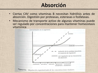 Absorción
• Ciertas CAV como vitaminas B necesitan hidrólisis antes de
  absorción. Digestión por proteasas, esterasas o fosfatasas.
• Mecanismo de transporte activo de algunas vitaminas puede
  ser regulado por concentraciones para mantener homeostasis
  vitamínica
 