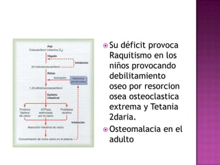  Su déficit provoca
  Raquitismo en los
  niños provocando
  debilitamiento
  oseo por resorcion
  osea osteoclastica
  extrema y Tetania
  2daria.
 Osteomalacia en el
  adulto
 