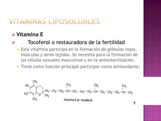  Vitamina E
     Tocoferol o restauradora de la fertilidad
       Esta vitamina participa en la formación de glóbulos rojos,
        músculos y otros tejidos. Se necesita para la formación de
        las células sexuales masculinas y en la antiesterilización.
       Tiene como función principal participar como antioxidante,
 