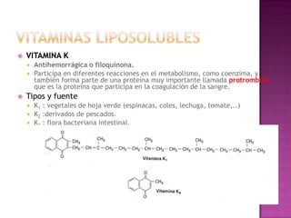    VITAMINA K
       Antihemorrágica o filoquinona.
       Participa en diferentes reacciones en el metabolismo, como coenzima, y
        también forma parte de una proteína muy importante llamada protrombina
        que es la proteína que participa en la coagulación de la sangre.
   Tipos y fuente
       K1 : vegetales de hoja verde (espinacas, coles, lechuga, tomate,..)
       K2 :derivados de pescados.
       K3 : flora bacteriana intestinal.
 