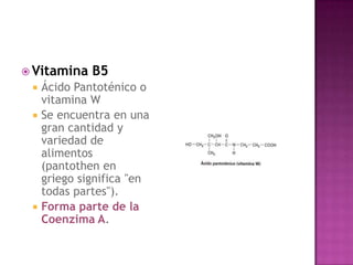  Vitamina    B5
    Ácido Pantoténico o
     vitamina W
    Se encuentra en una
     gran cantidad y
     variedad de
     alimentos
     (pantothen en
     griego significa "en
     todas partes").
    Forma parte de la
     Coenzima A.
 