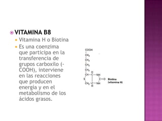  VITAMINA    B8
    Vitamina H o Biotina
    Es una coenzima
     que participa en la
     transferencia de
     grupos carboxilo (-
     COOH), interviene
     en las reacciones
     que producen
     energía y en el
     metabolismo de los
     ácidos grasos.
 