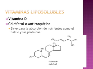  Vitamina  D
 Calciferol o Antirraquítica
    Sirve para la absorción de nutrientes como el
     calcio y las proteínas.
 