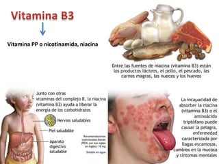 Vitamina PP o nicotinamida, niacina
 