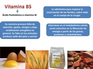 se administra para mejorar la
                                    cicatrización de las heridas, sobre todo
Ácido Pantoténico o vitamina W              en el campo de la cirugía.


  Su carencia provoca falta de       Interviene en el metabolismo celular
atención, apatía, alergias y bajo     como coenzima en la liberación de
   rendimiento energético en             energía a partir de las grasas,
general. Su falta en los animales         proteínas y carbohidratos.
produce caída del pelo y canicie
 