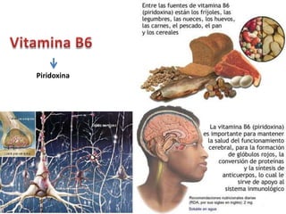 Piridoxina
 