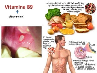 Ácido Fólico
 