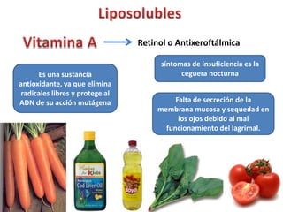 Retinol o Antixeroftálmica

                                      síntomas de insuficiencia es la
      Es una sustancia                      ceguera nocturna
antioxidante, ya que elimina
 radicales libres y protege al
ADN de su acción mutágena                  Falta de secreción de la
                                      membrana mucosa y sequedad en
                                            los ojos debido al mal
                                        funcionamiento del lagrimal.
 