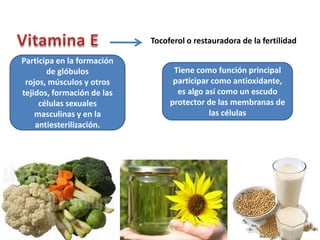 Tocoferol o restauradora de la fertilidad

Participa en la formación
       de glóbulos                Tiene como función principal
 rojos, músculos y otros          participar como antioxidante,
tejidos, formación de las          es algo así como un escudo
     células sexuales            protector de las membranas de
    masculinas y en la                      las células
    antiesterilización.
 
