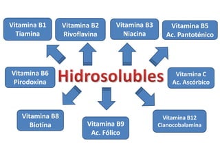 Vitamina B1      Vitamina B2    Vitamina B3      Vitamina B5
  Tiamina        Rivoflavina      Niacina       Ac. Pantoténico




Vitamina B6                                         Vitamina C
Pirodoxina                                         Ac. Ascórbico




   Vitamina B8                                  Vitamina B12
      Biotina           Vitamina B9           Cianocobalamina
                         Ac. Fólico
 