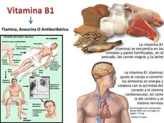 Tiamina, Aneurina O Antiberibérica
 