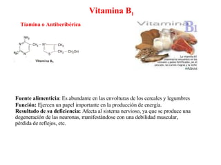 Vitamina B 1 Tiamina o Antiberibérica Fuente alimenticia : Es   abundante en las envolturas de los cereales y legumbres   Función:  Ejercen un papel importante en la producción de energía. Resultado de su deficiencia:  Afecta al sistema nervioso, ya que se produce una degeneración de las neuronas, manifestándose con una debilidad muscular, pérdida de reflejos, etc. 